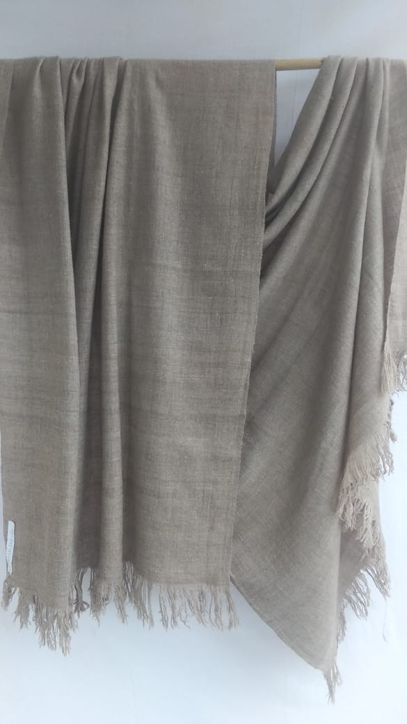 Pashmina Shawl BH-38-SH-22-23