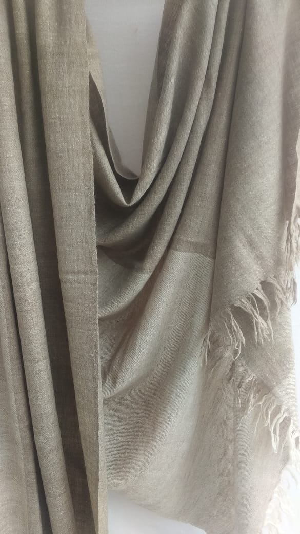 Pashmina Shawl BH-16-SH-22-23