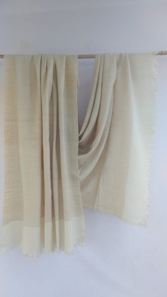Pashmina Shawl BH-01-SH-22-23
