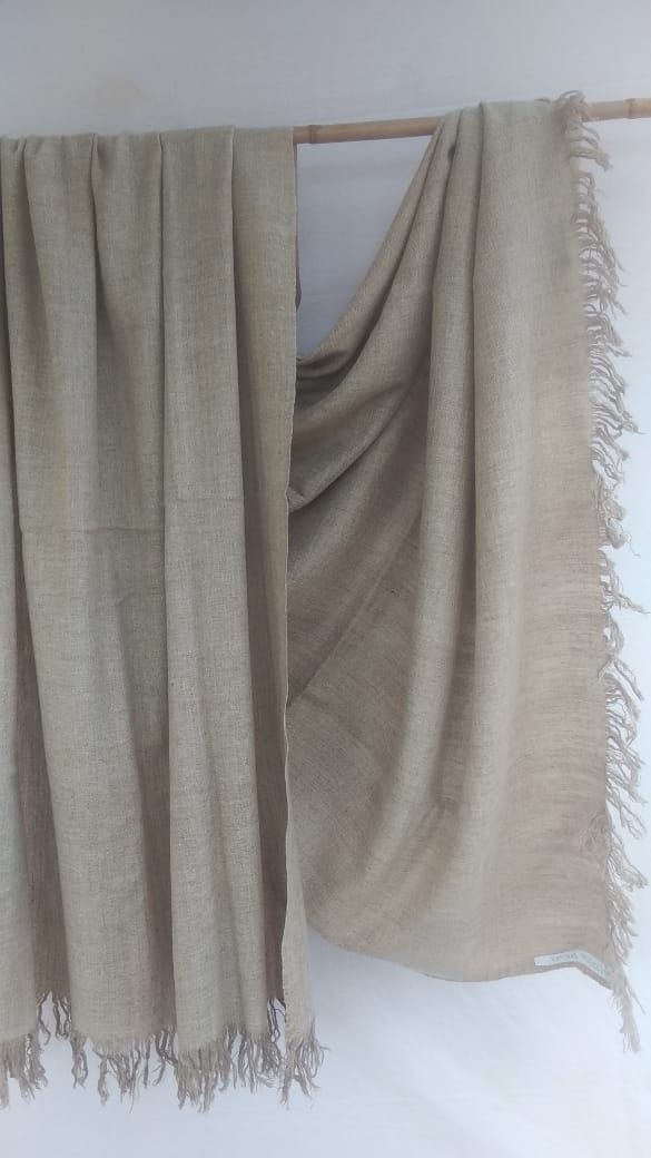 Pashmina Shawl BH-37-SH-22-23