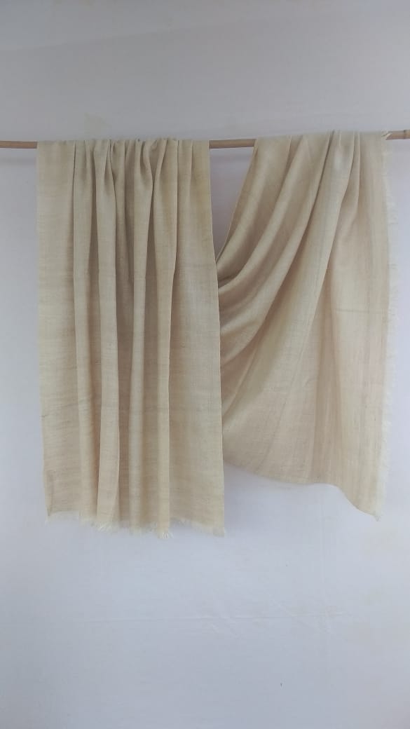 Pashmina Shawl BH-46-SH-22-23