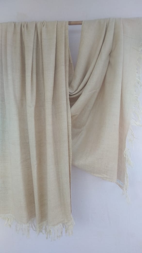 Pashmina Shawl BH-56-SH-22-23