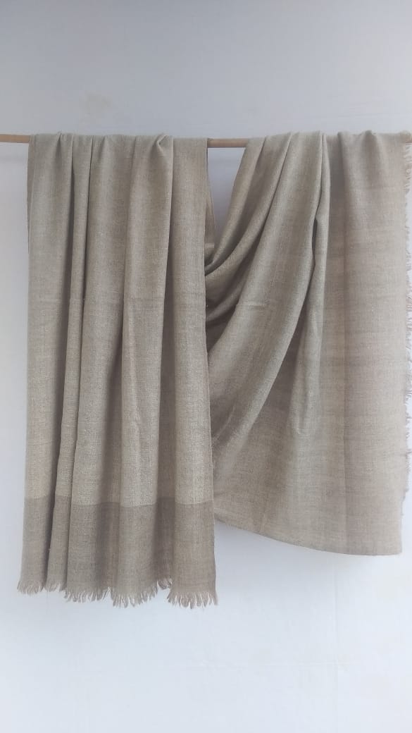 Pashmina Shawl BH-57-SH-22-23