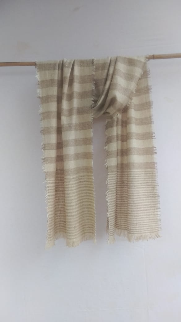 Pashmina Scarfs & Mufflers BH-PH-02-SC-22-23