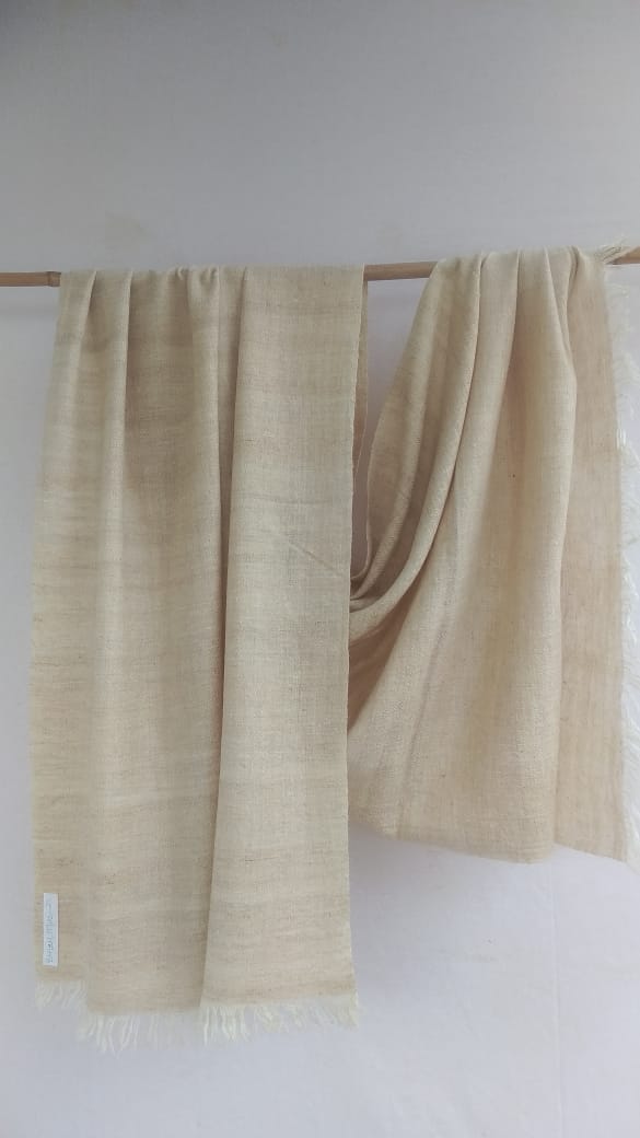 Pashmina Stole BH-22-ST-22-23