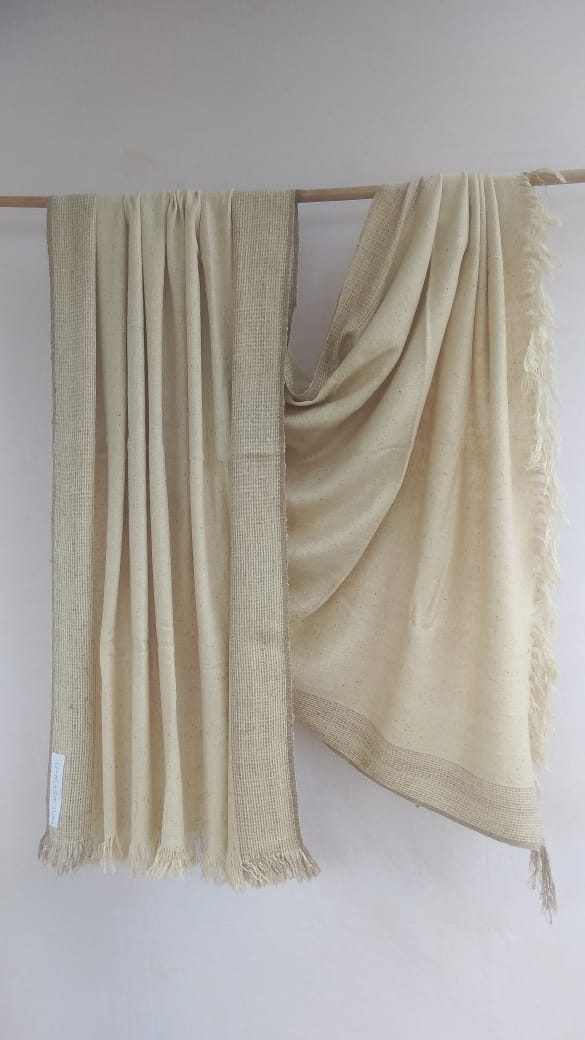 Pashmina Shawl BH-PH-79-SH-22-23