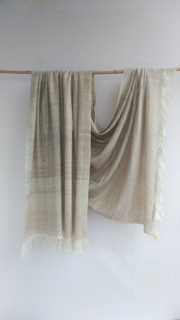 Pashmina Shawl BH-96-SH-22-23