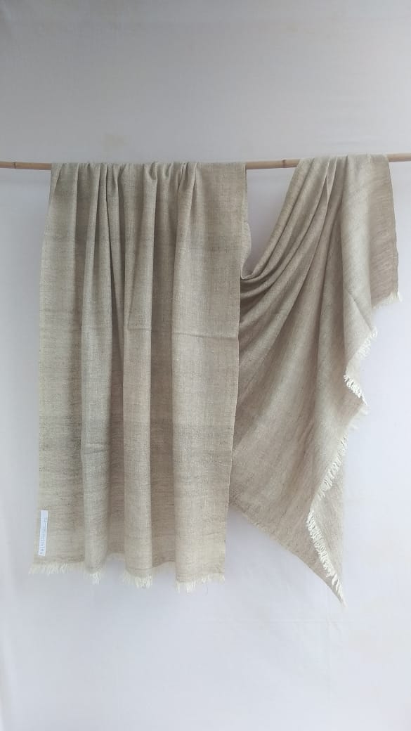 Pashmina Shawl BH-95-SH-22-23