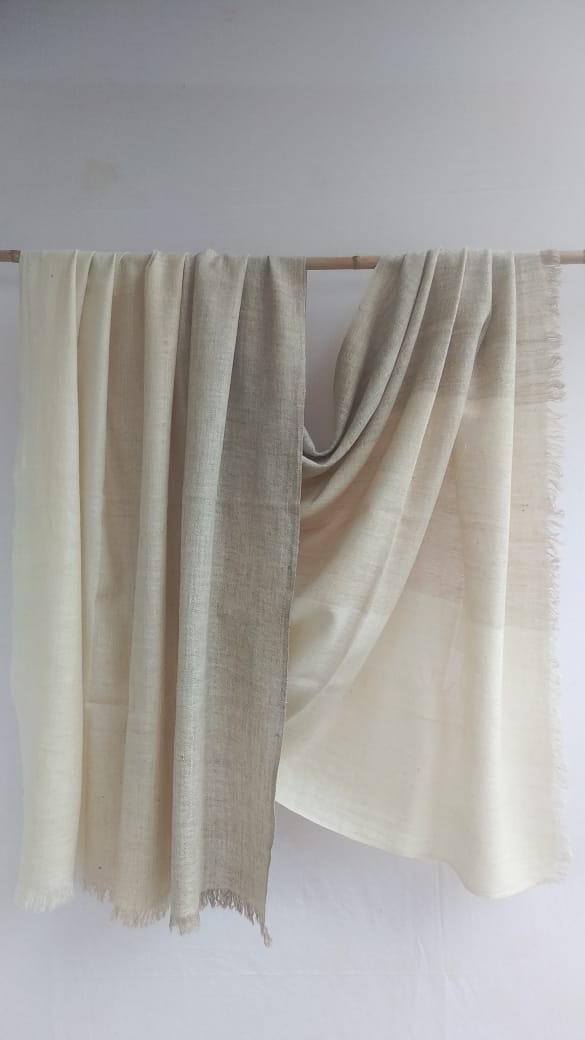 Pashmina Shawl BH-104-SH-22-23