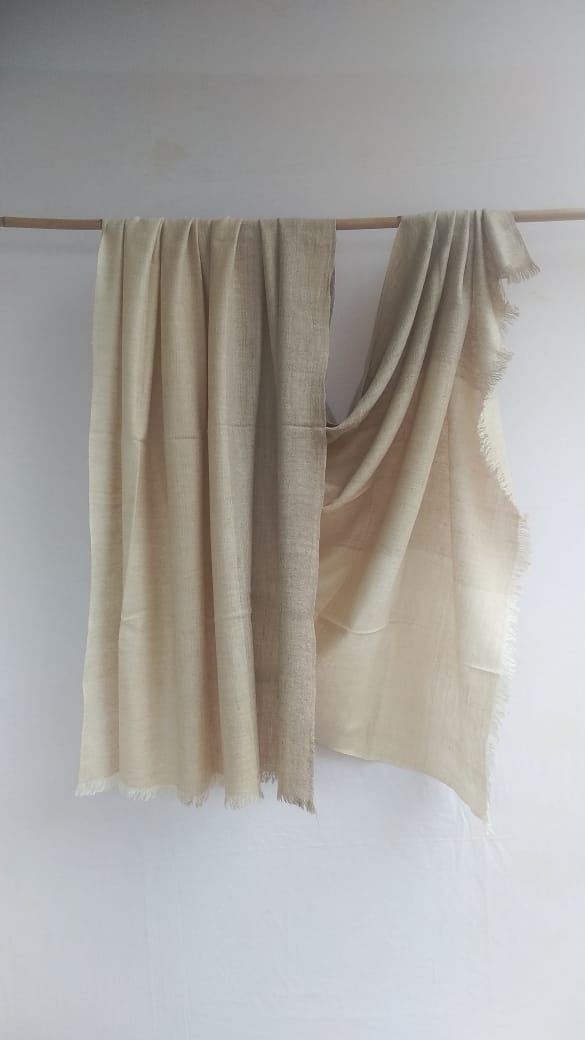 Pashmina Shawl BH-98-SH-22-23