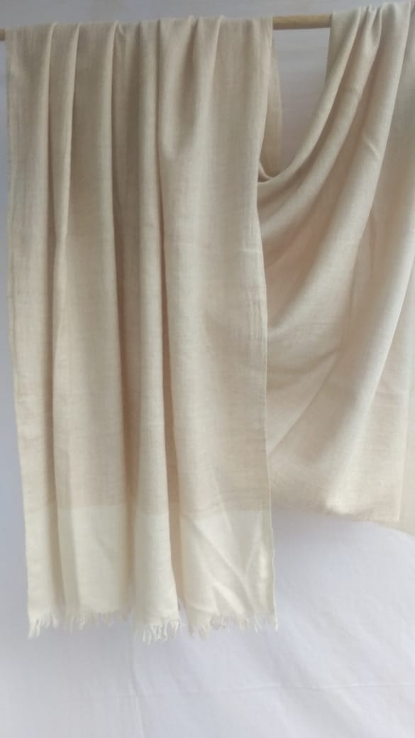 Pashmina Shawl BH-54-SH-22-23