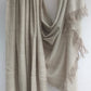 Pashmina Shawl BH-18-SH-22-23