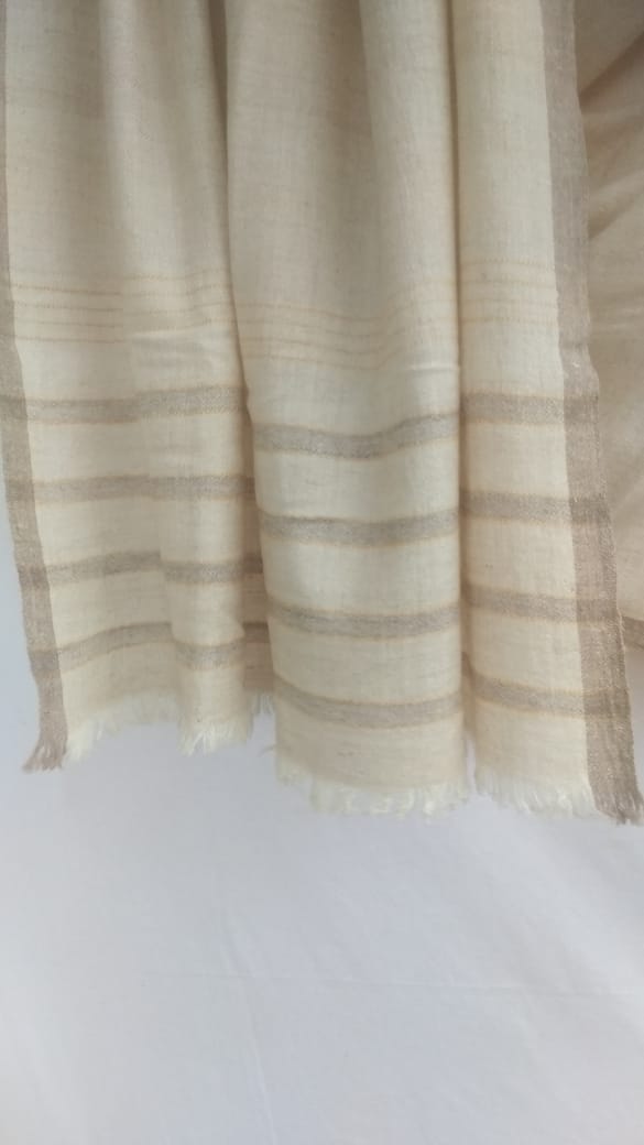 Pashmina Shawl BH-38-SH-21-22
