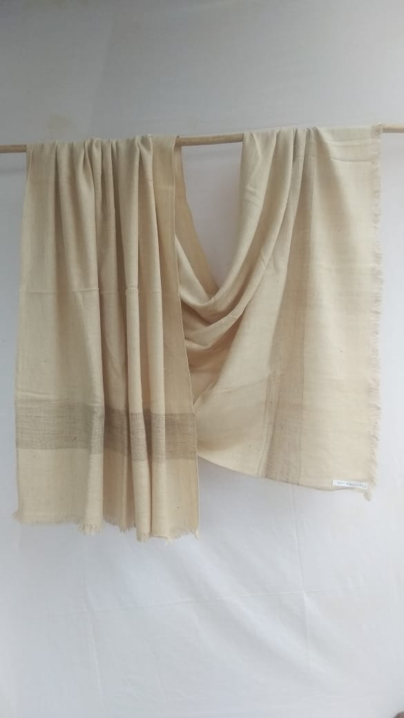 Pashmina Shawl BH-34-SH-21-22