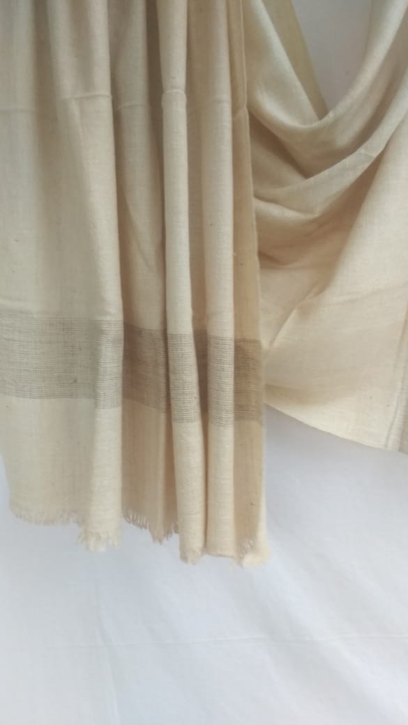 Pashmina Shawl BH-34-SH-21-22