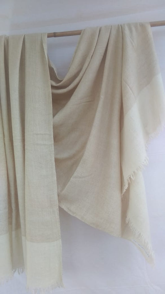 Pashmina Shawl BH-55-SH-22-23