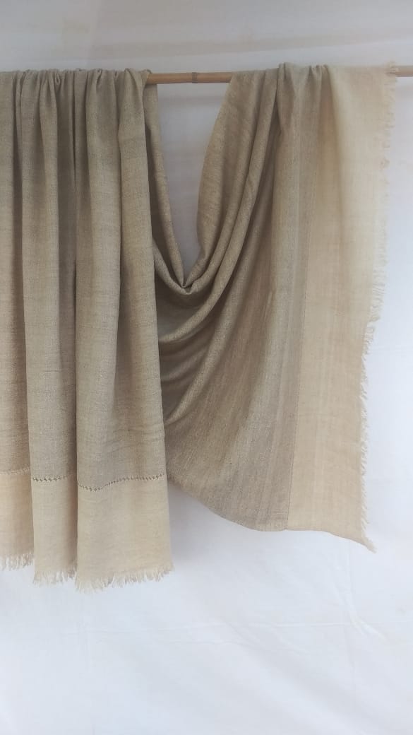 Pashmina Shawl BH-25-SH-21-22