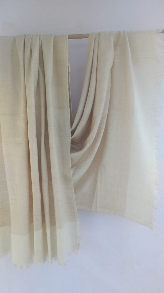 Pashmina Shawl BH-02-SH-22-23