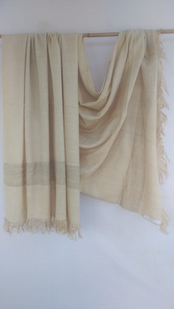 Pashmina Shawl BH-32-SH-21-22