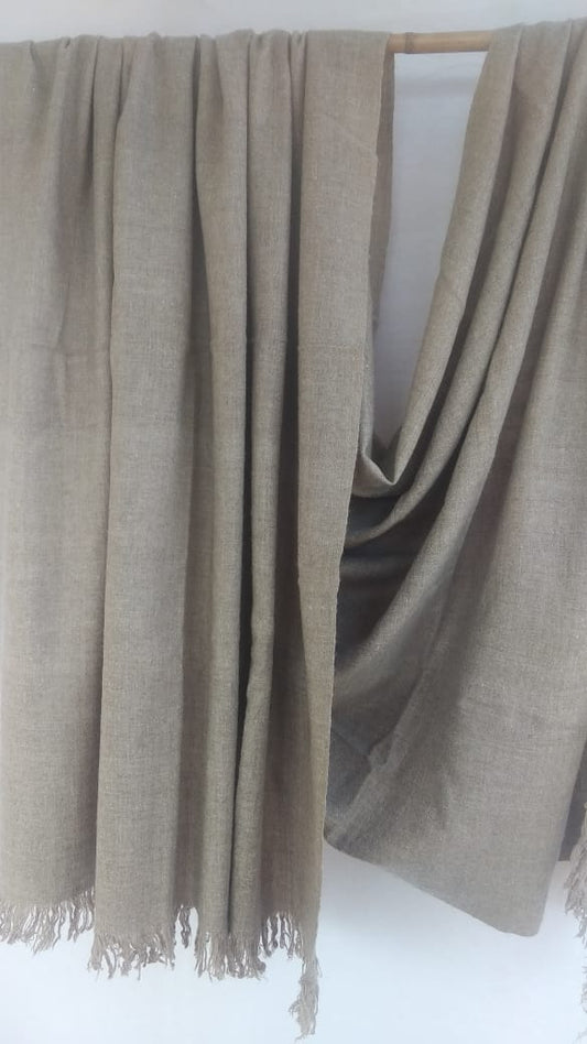 Pashmina Shawl BH-59-SH-22-23