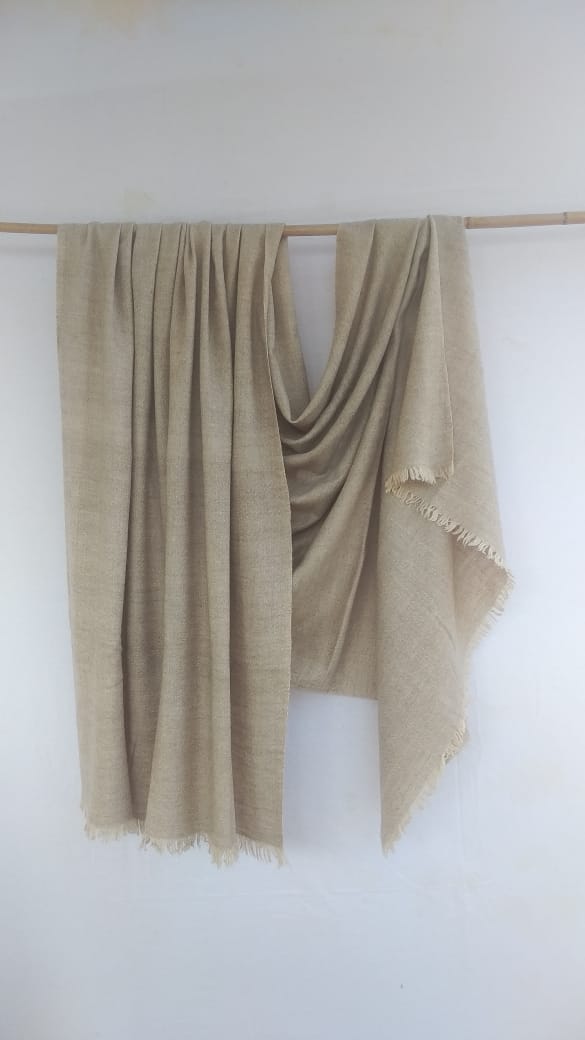 Pashmina Shawl BH-23-SH-22-23