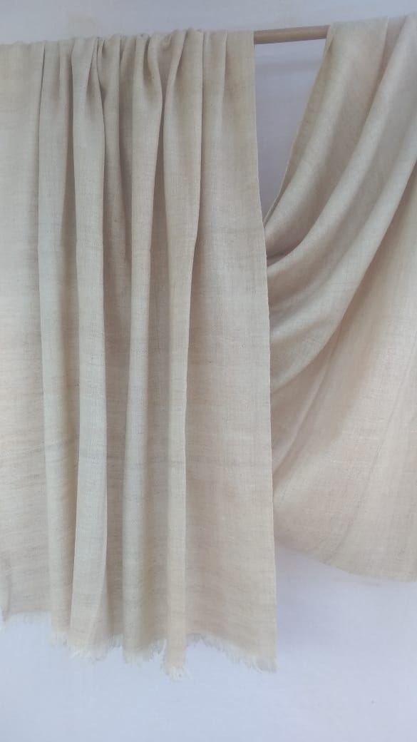 Pashmina Shawl BH-46-SH-22-23