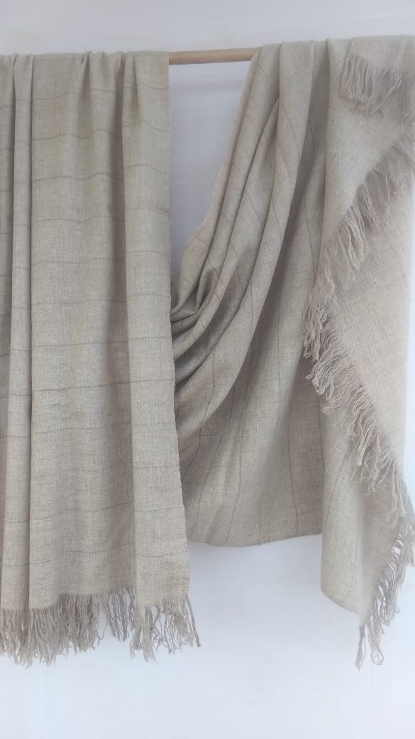 Pashmina Shawl BH-89-SH-22-23