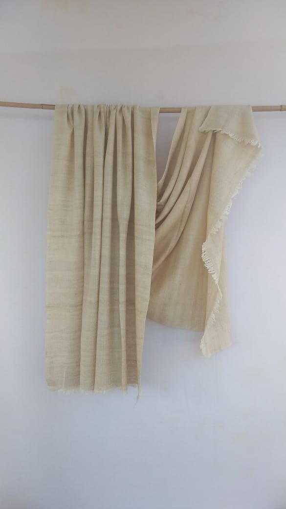 Pashmina Shawl BH-47-SH-22-23