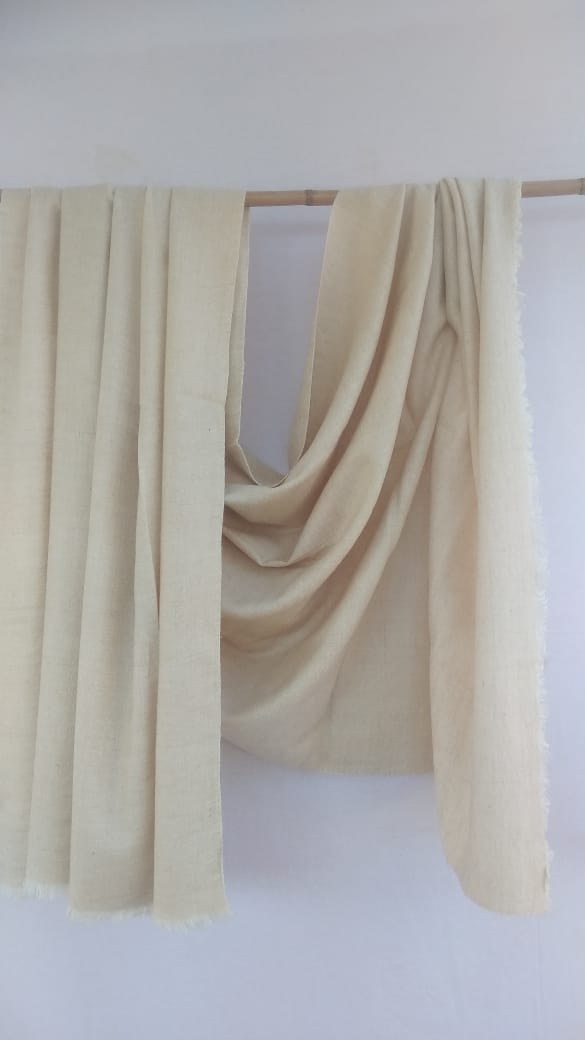 Pashmina Shawl BH-43-SH-22-23
