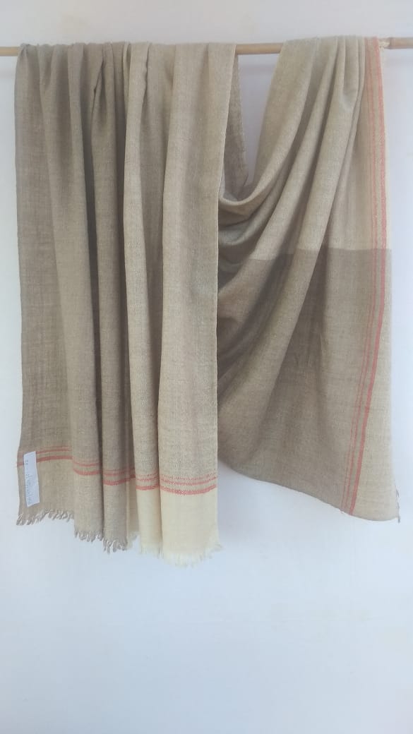 Pashmina Shawl BH-70-SH-21-22