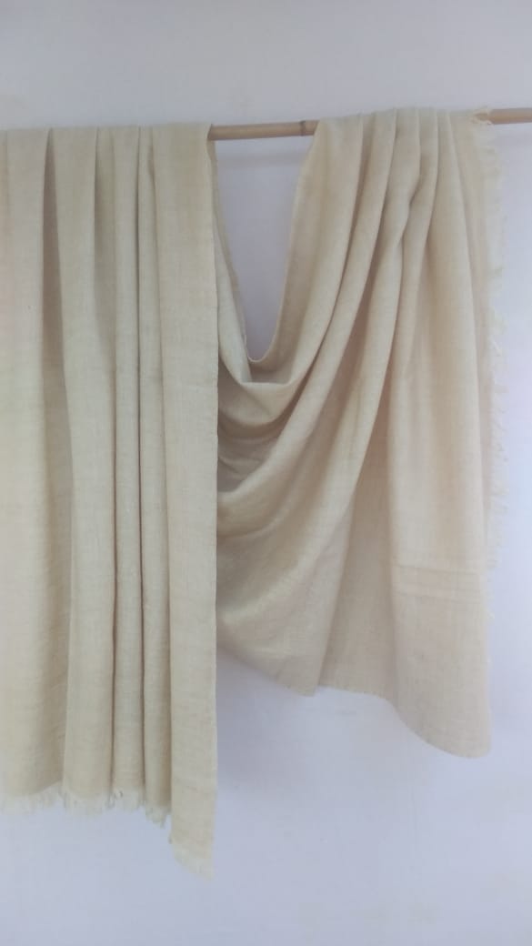 Pashmina Shawl BH-51-SH-22-23