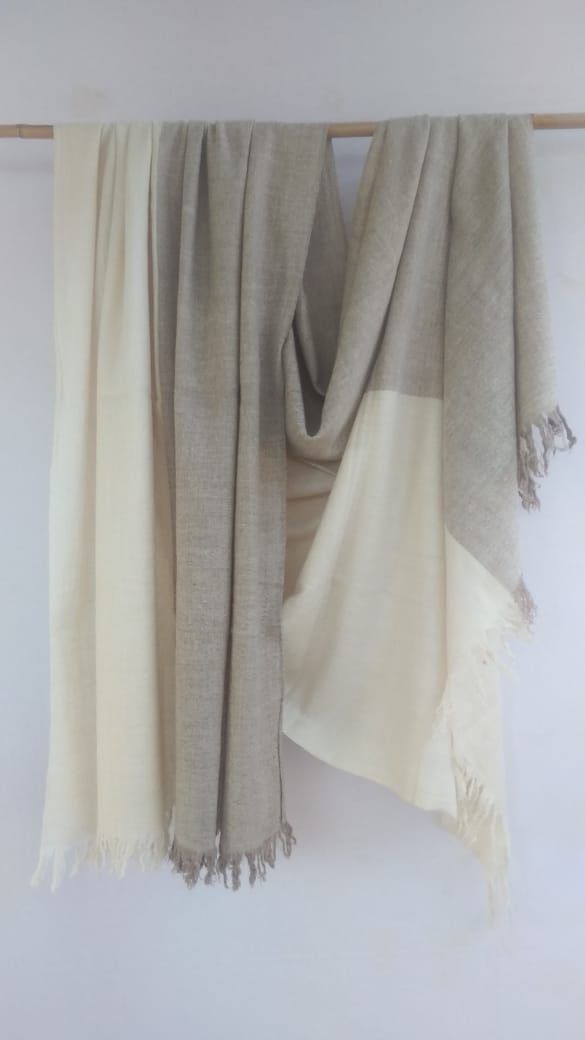 Pashmina Shawl BH-73-SH-21-22