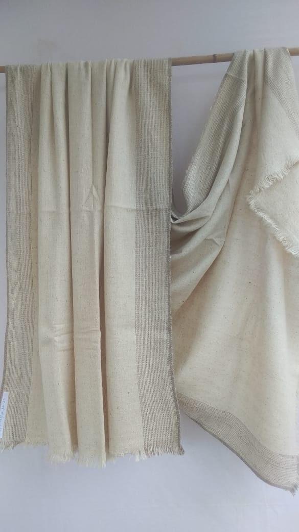 Pashmina Shawl BH-PH-78-SH-22-23