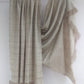 Pashmina Shawl BH-88-SH-22-23