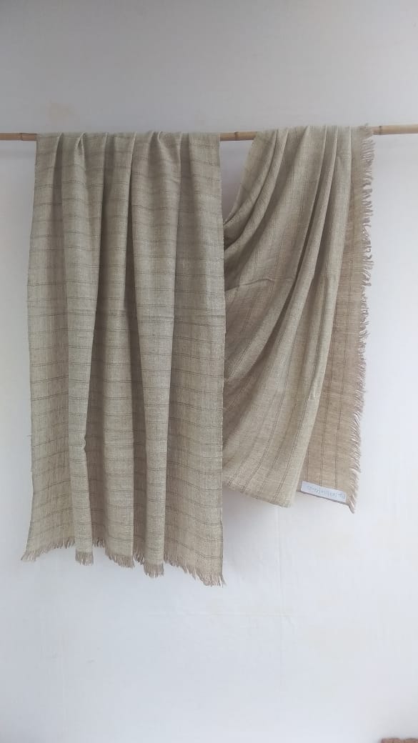 Pashmina Shawl BH-87-SH-22-23