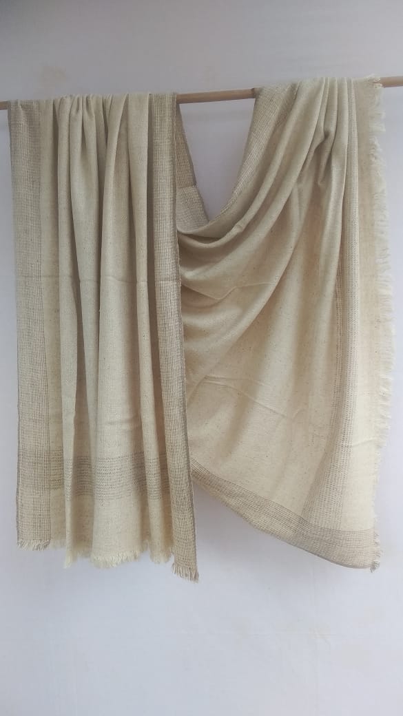 Pashmina Shawl BH-PH-83-SH-22-23