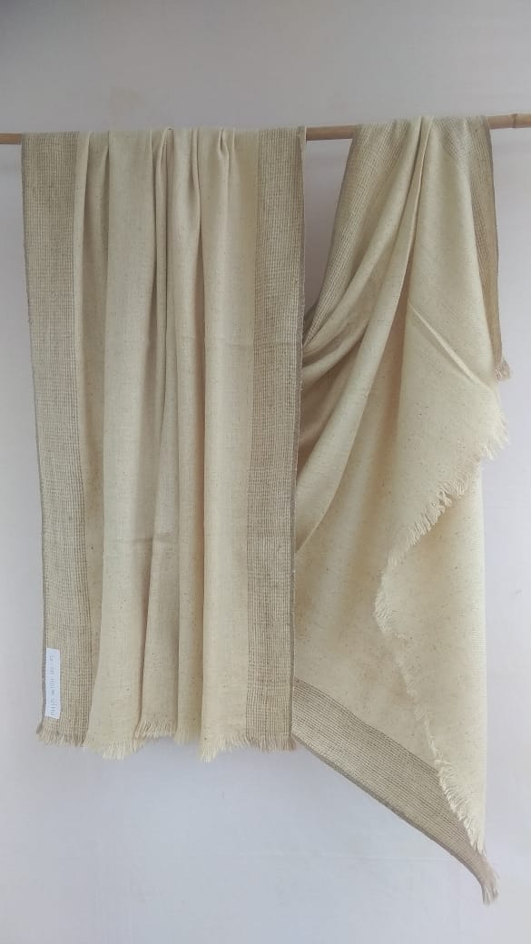 Pashmina Shawl BH-PH-80-SH-22-23