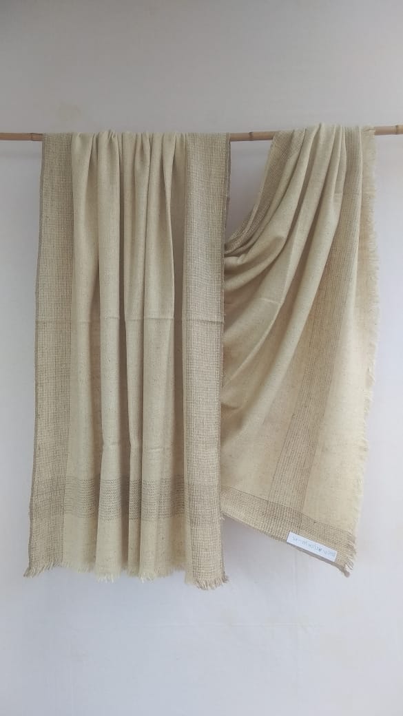 Pashmina Shawl BH-PH-82-SH-22-23