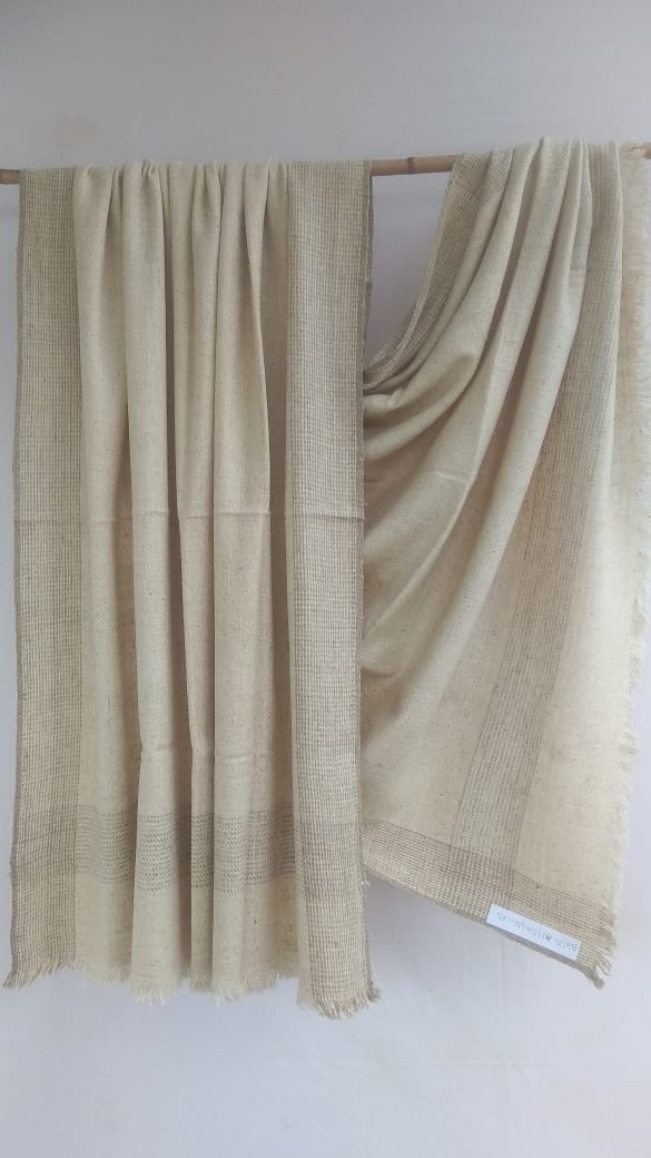 Pashmina Shawl BH-PH-82-SH-22-23