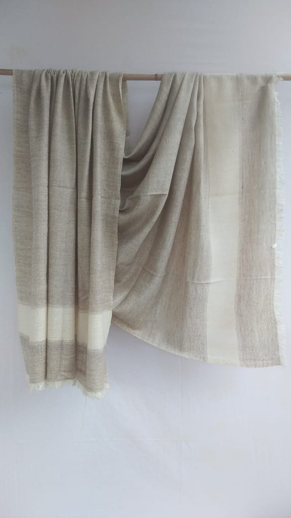 Pashmina Shawl BH-92-SH-22-23