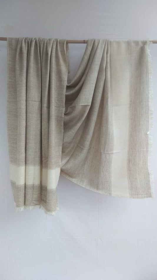 Pashmina Shawl BH-92-SH-22-23